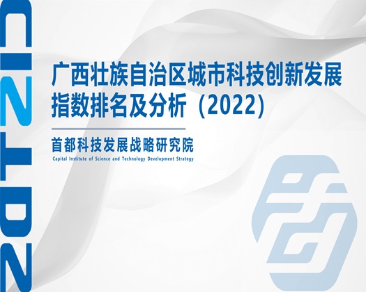 在线操B网【成果发布】广西壮族自治区城市科技创新发展指数排名及分析（2022）